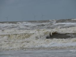 Zandvoort 2024